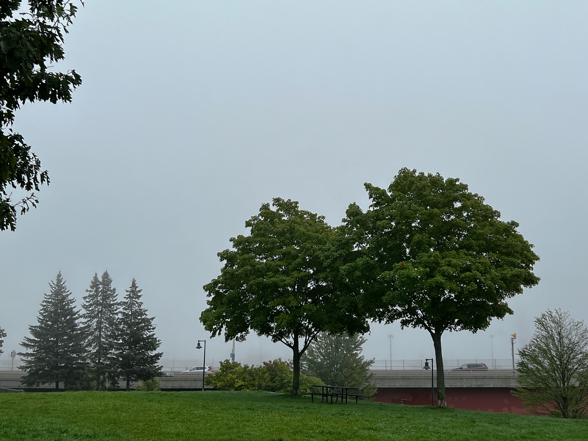 harbor view park with fog replacing the islands