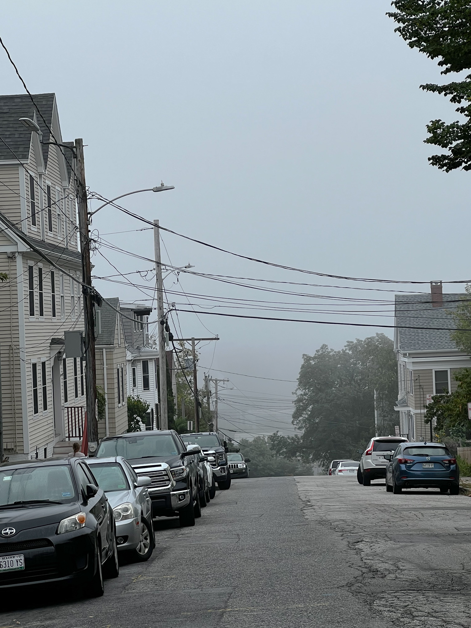 Fog on Clark St. near the community garden