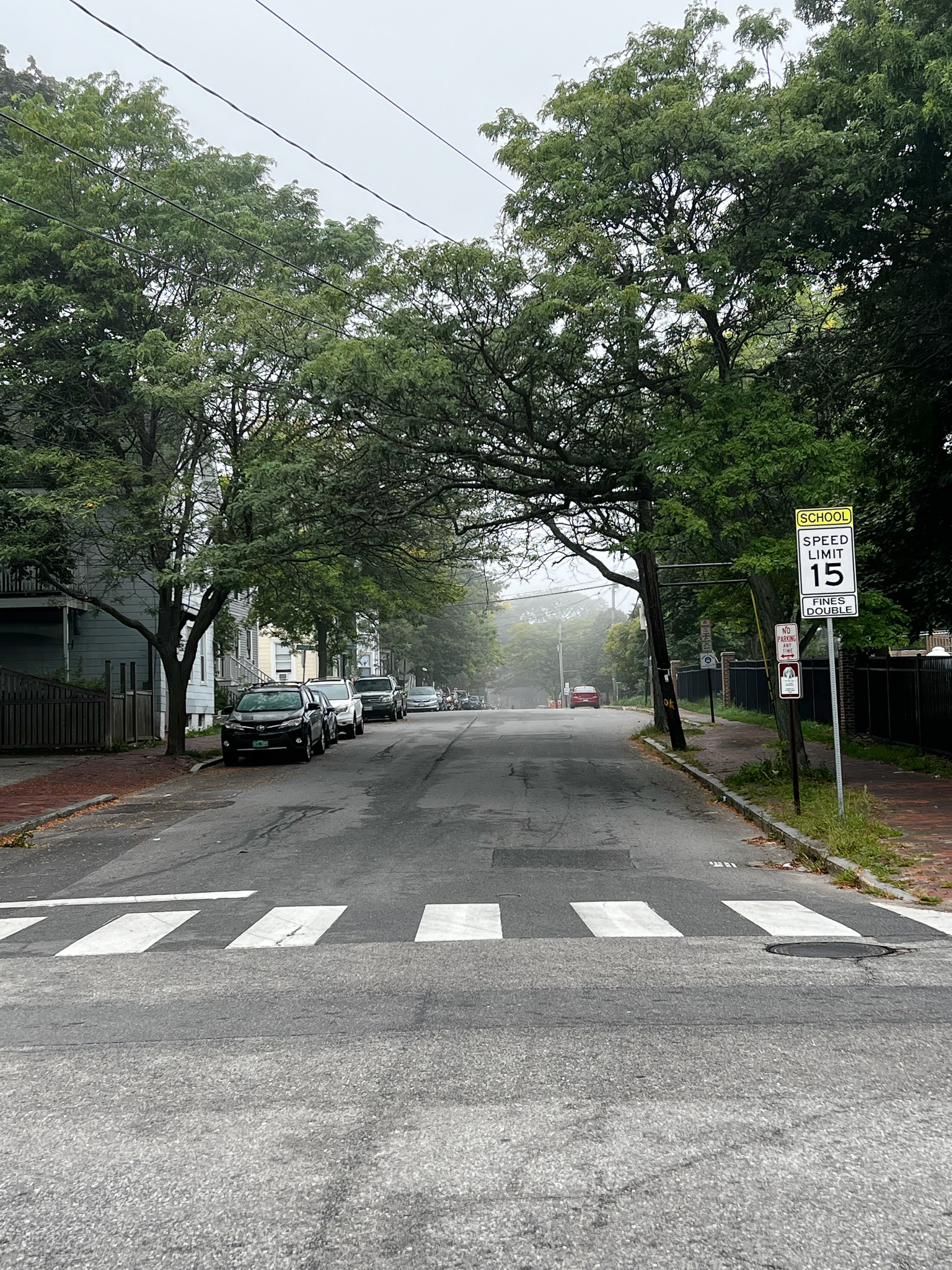 Clark St. near our house with big trees and fog