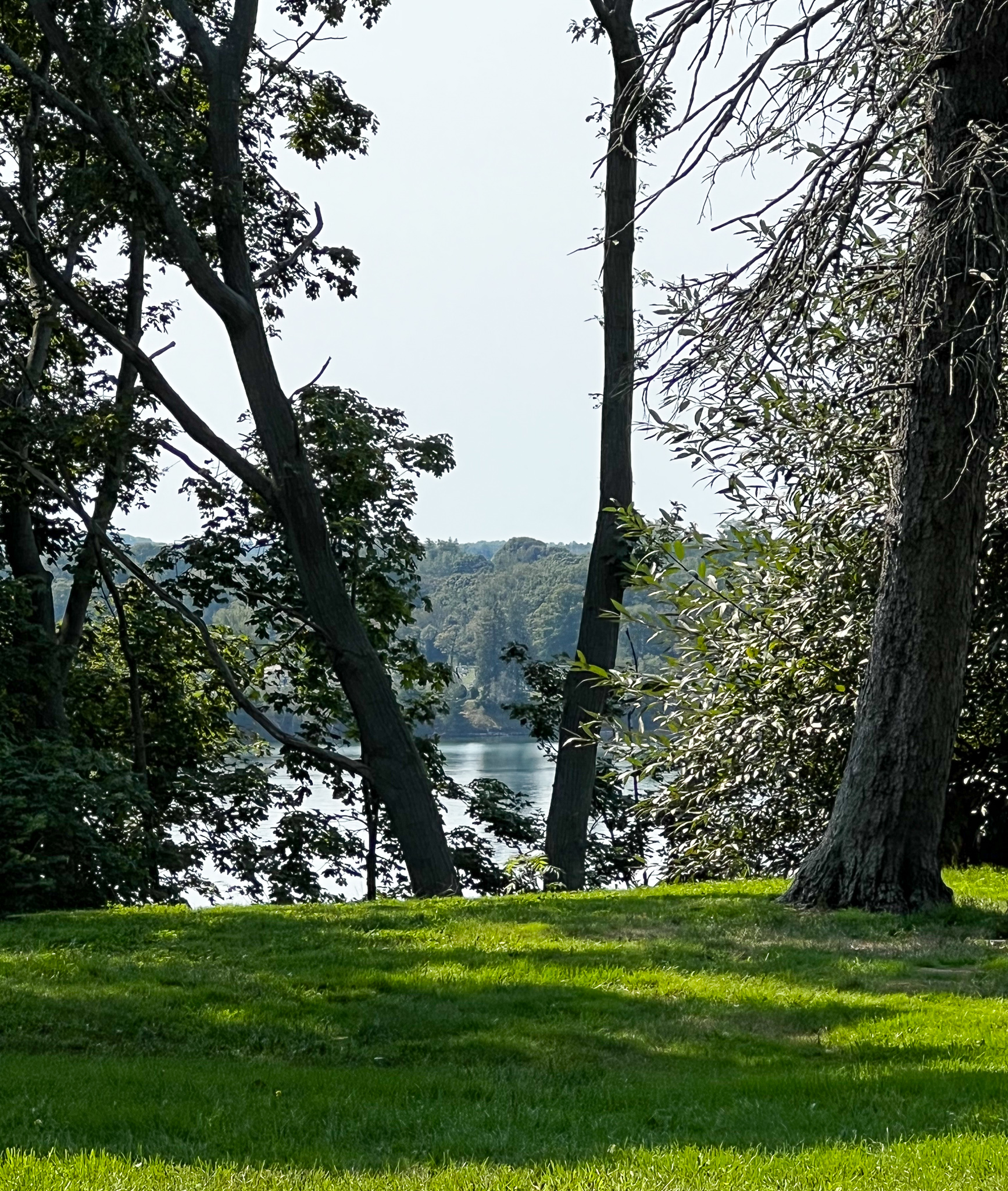 Another view of the Fore River through trees