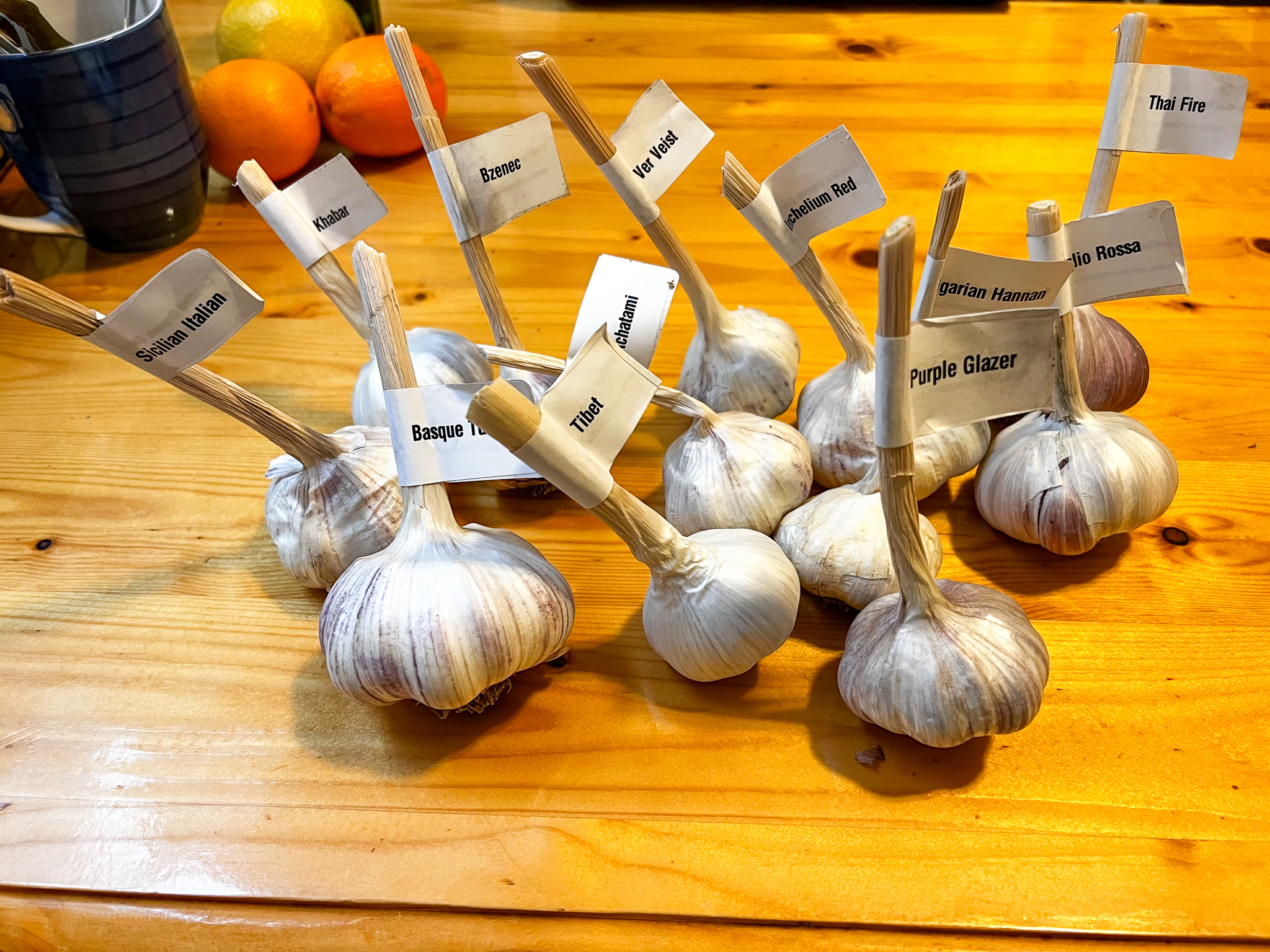 12 heads of garlic with different labels on them