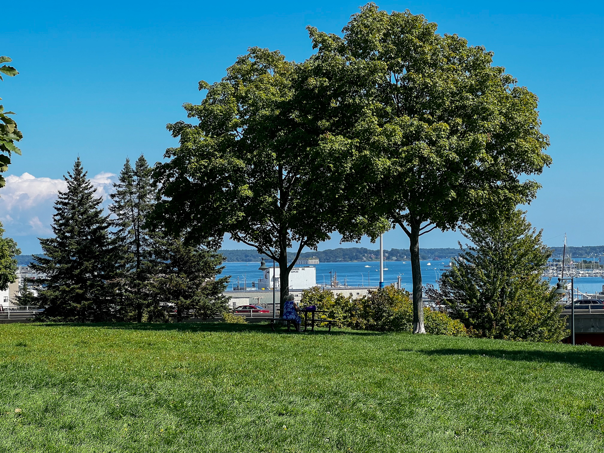 harbor view park