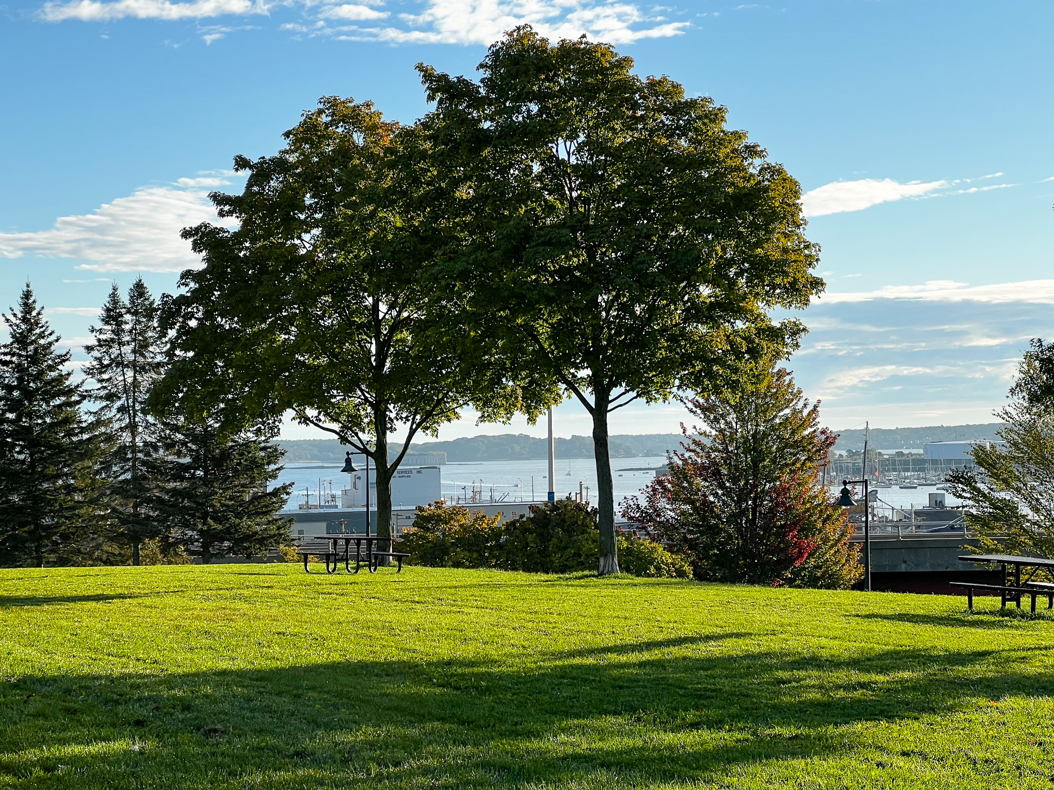 long shadows across lawn with two perfect shaped trees looking out over an ocean with islands