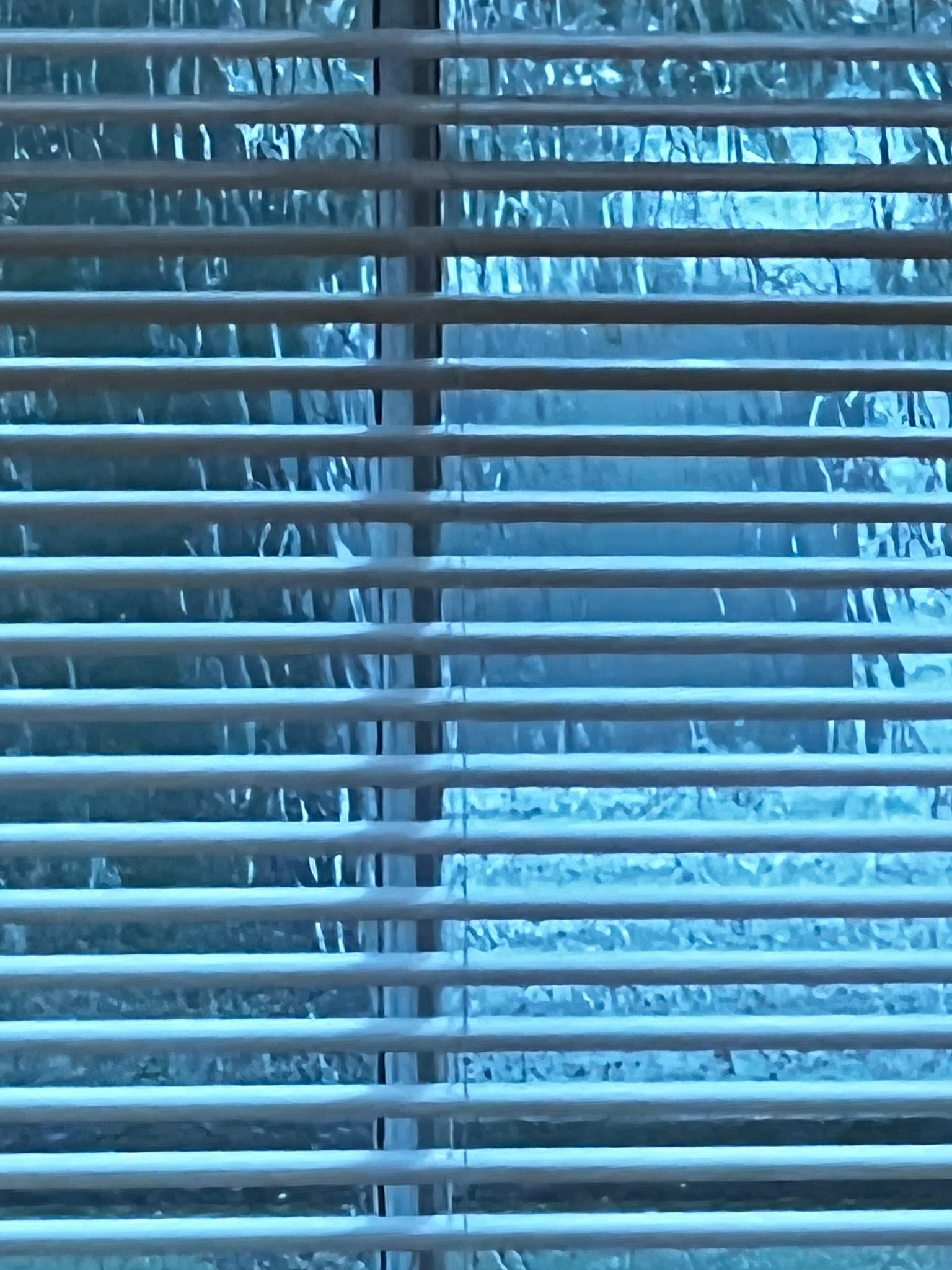 window blue with Venetian blinds