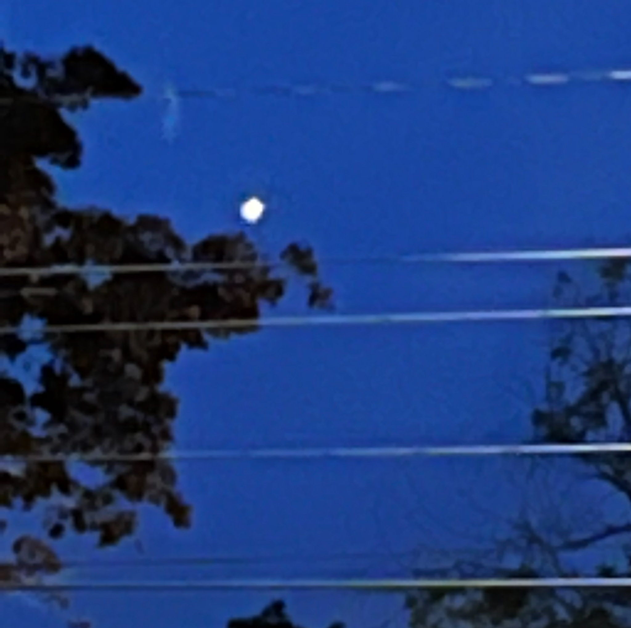 Jupiter in a dark sky blurry with power lines and trees