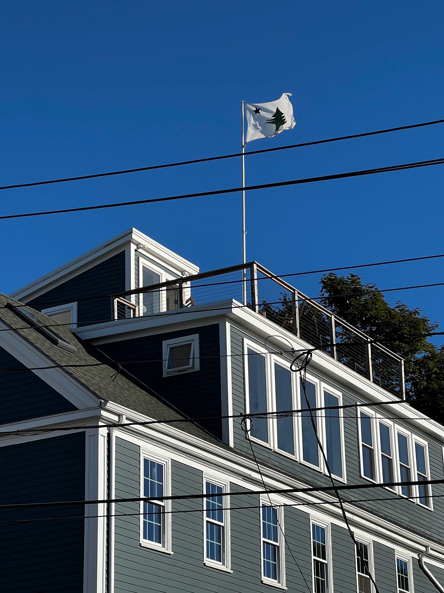 Lone Pine state flag