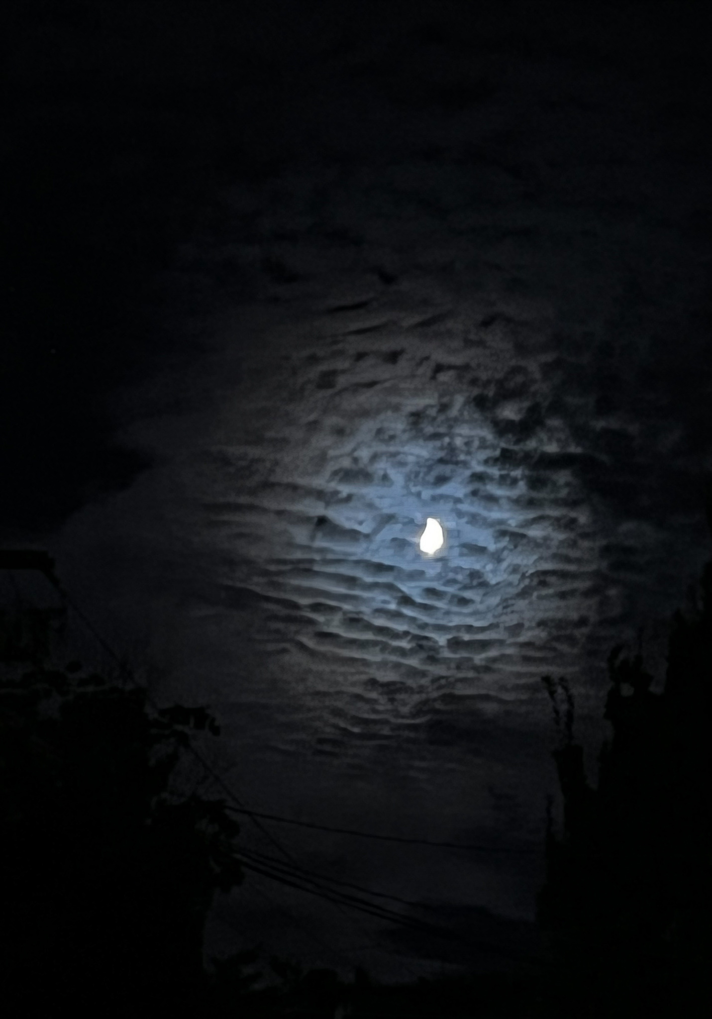 night sky with moon and seal skin clouds
