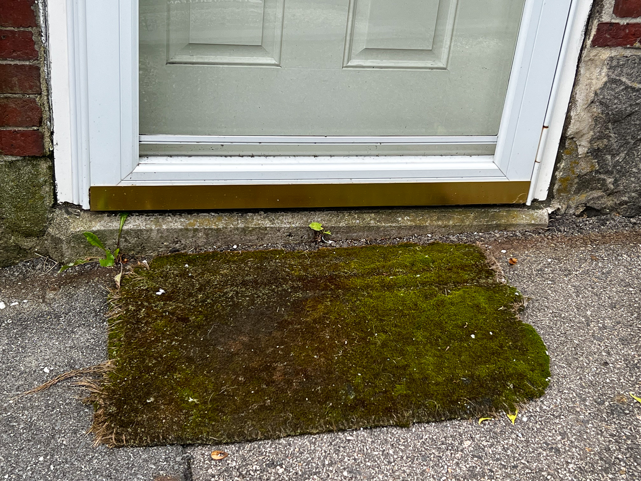 moss doormat