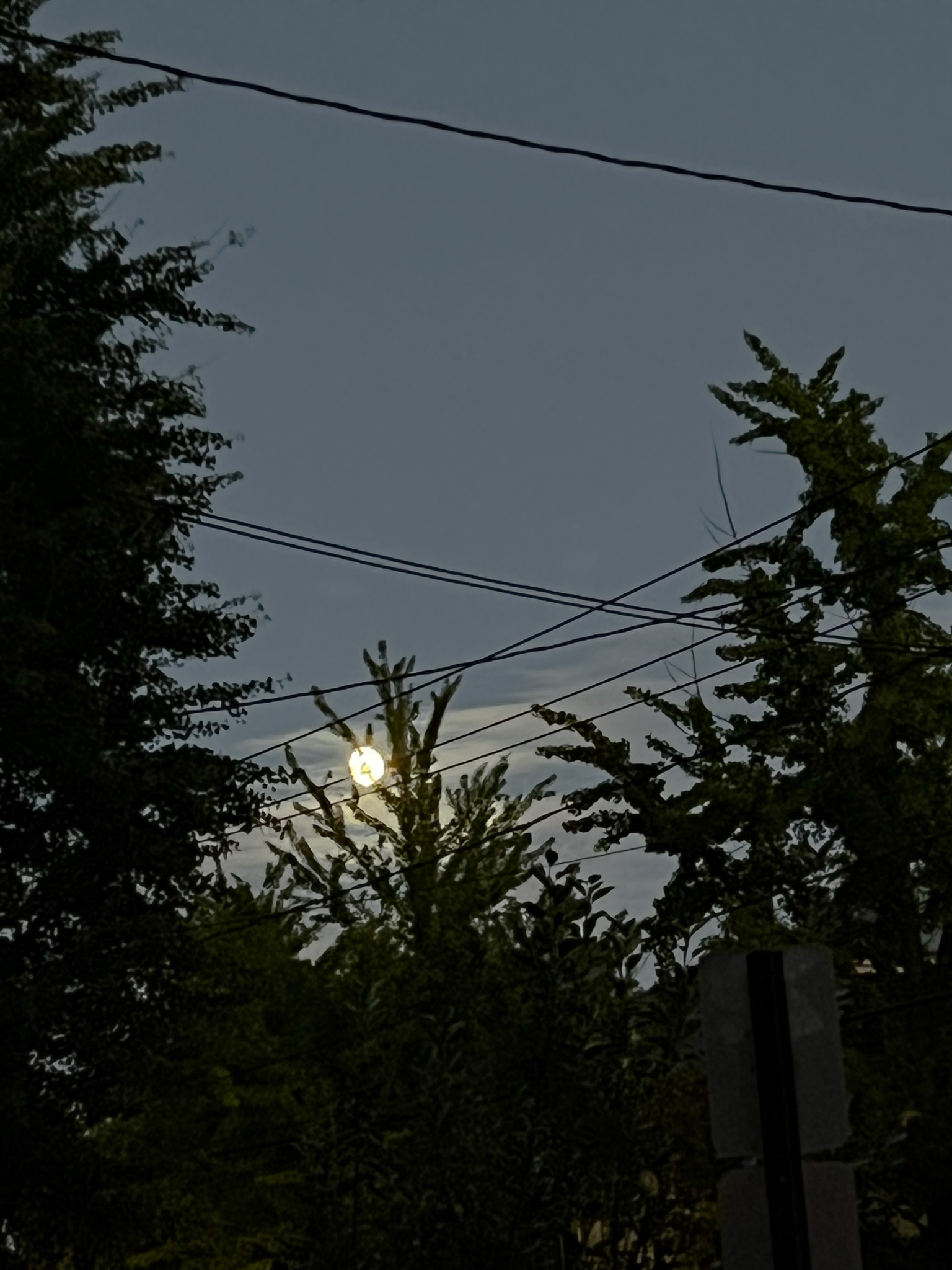nearly full moon