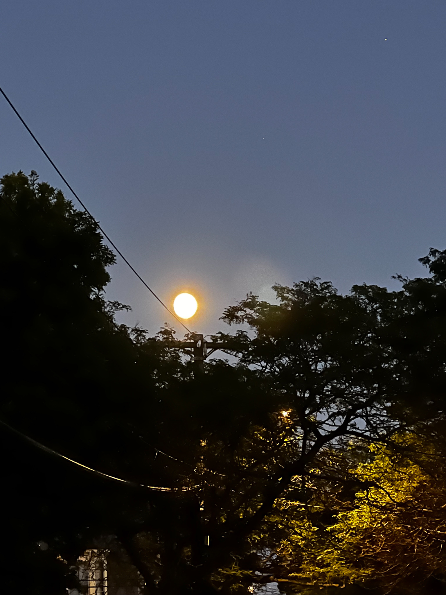 full looking moon over trees