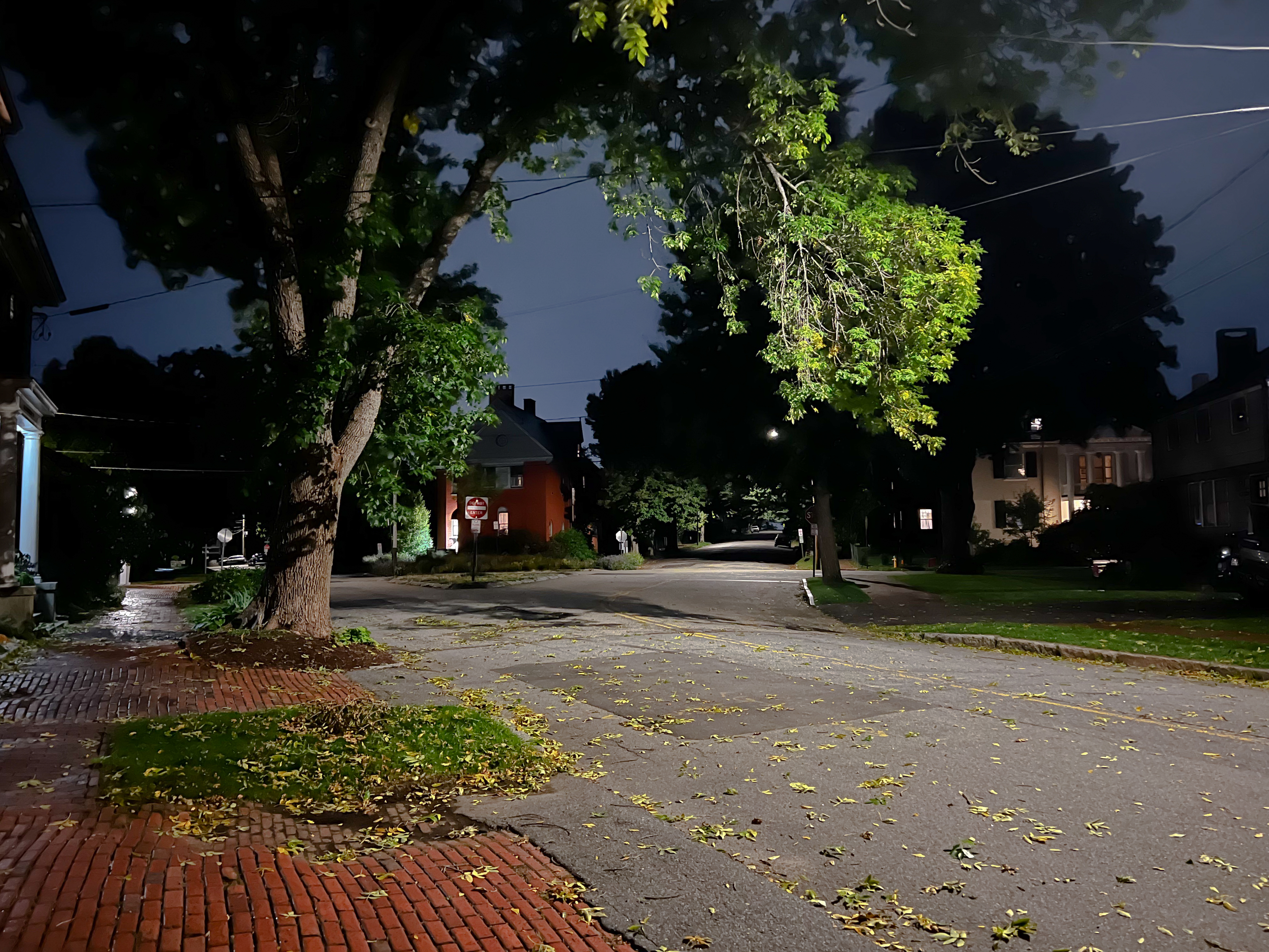 street with trees and night sky