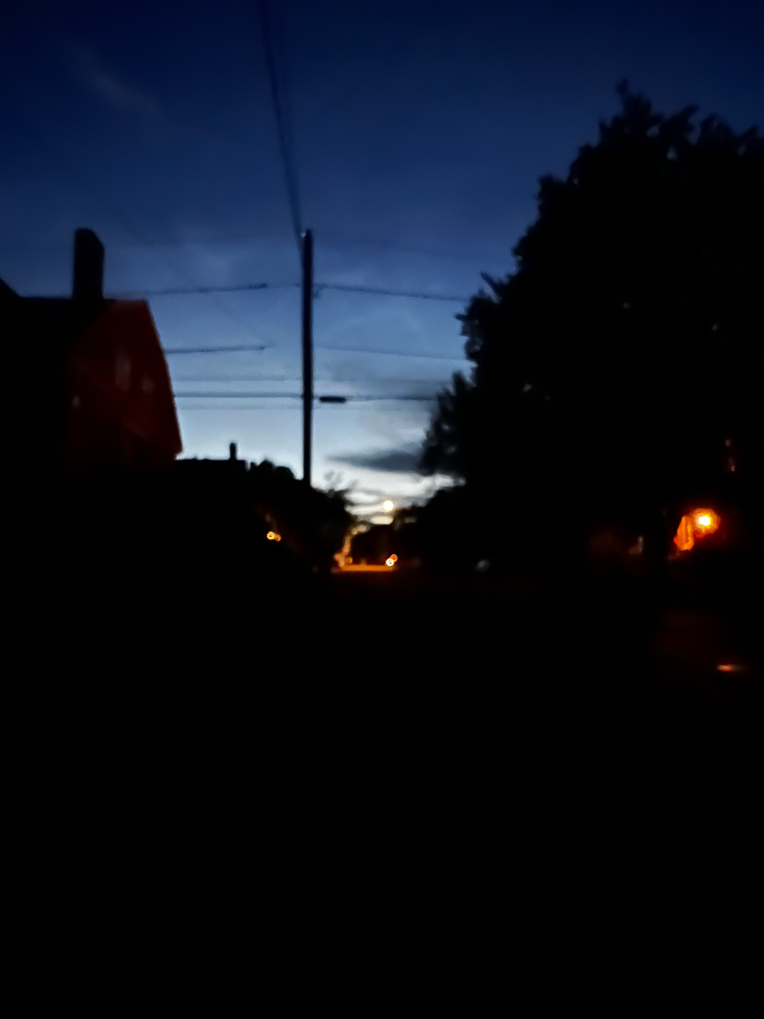 silhouetted houses and trees against dusky sky