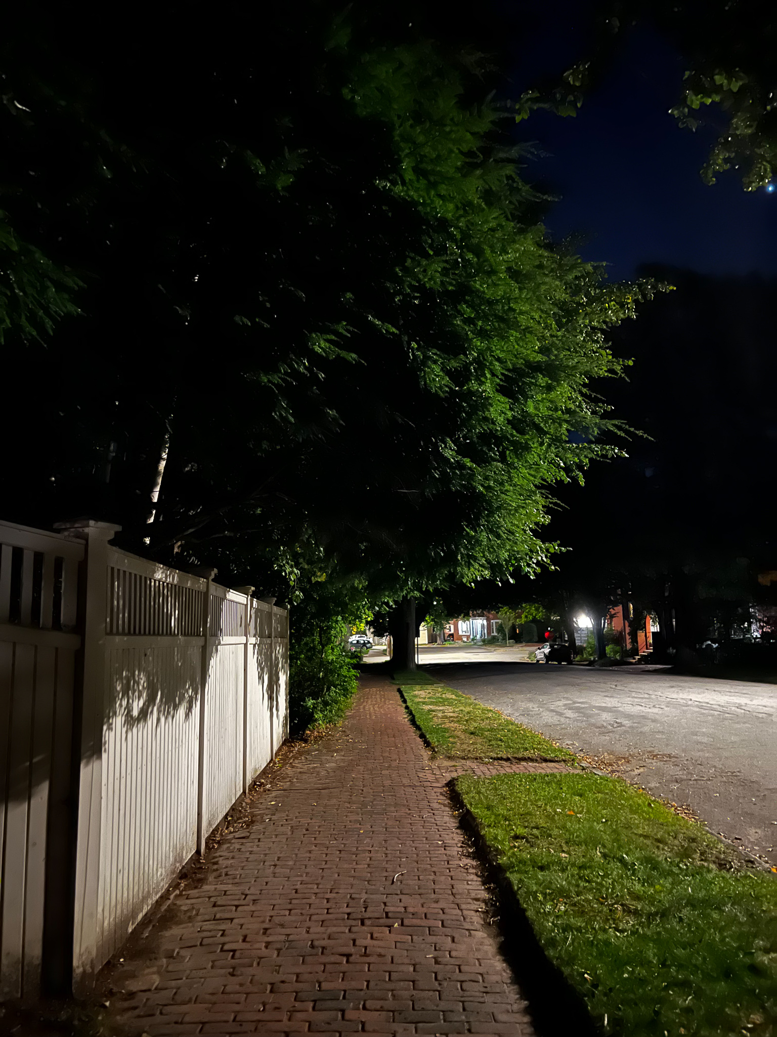 dark brick sidewalk with trees and a grass median