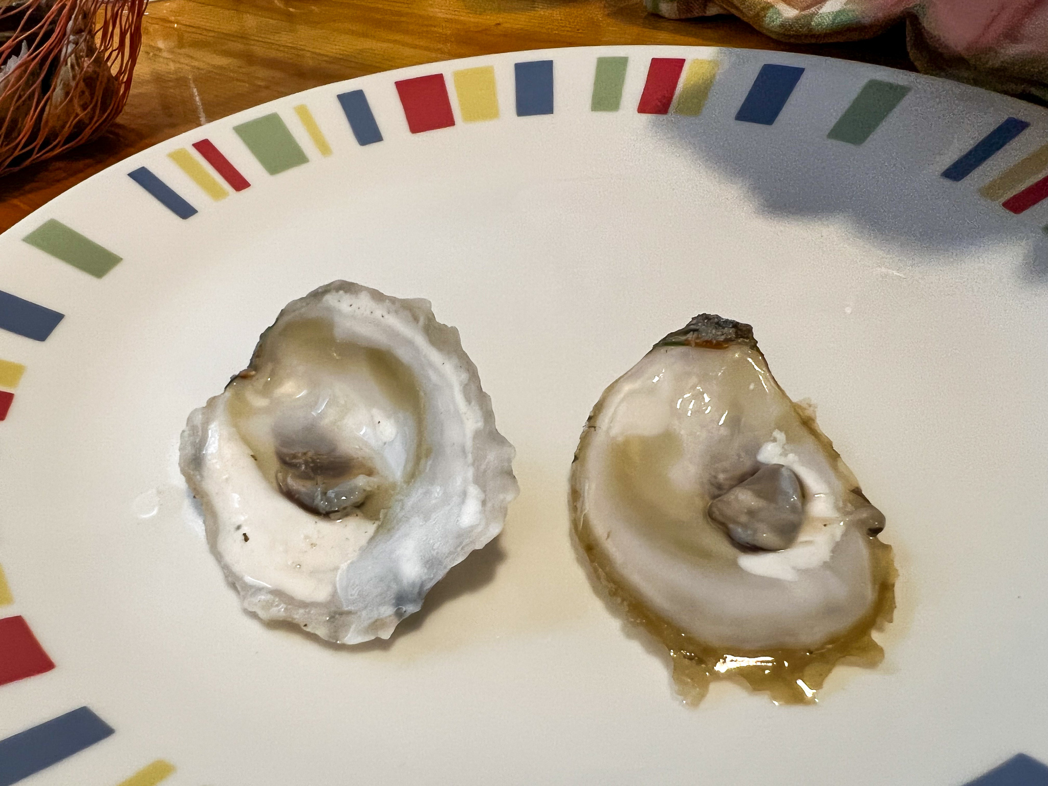 two oyster shells on a plate