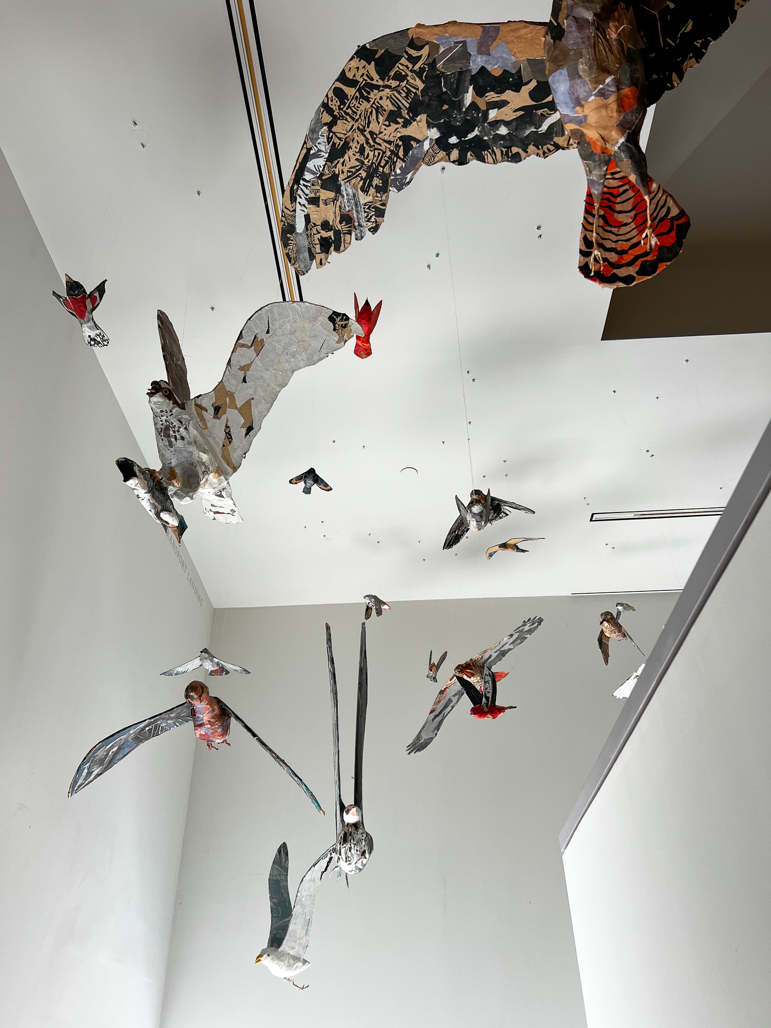 display of papermache flying birds