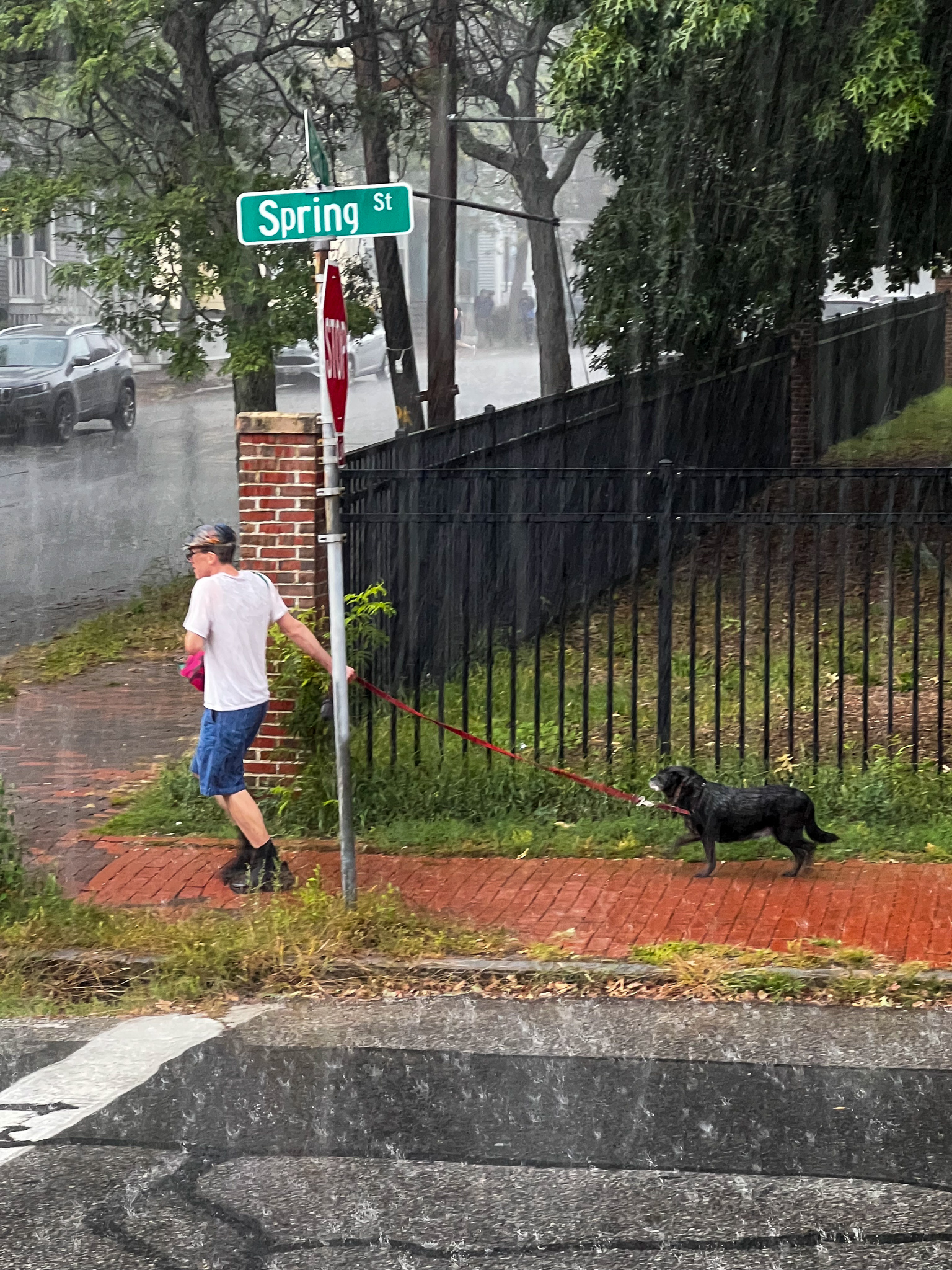 rainy day with a man pulling on this dog in a downpour