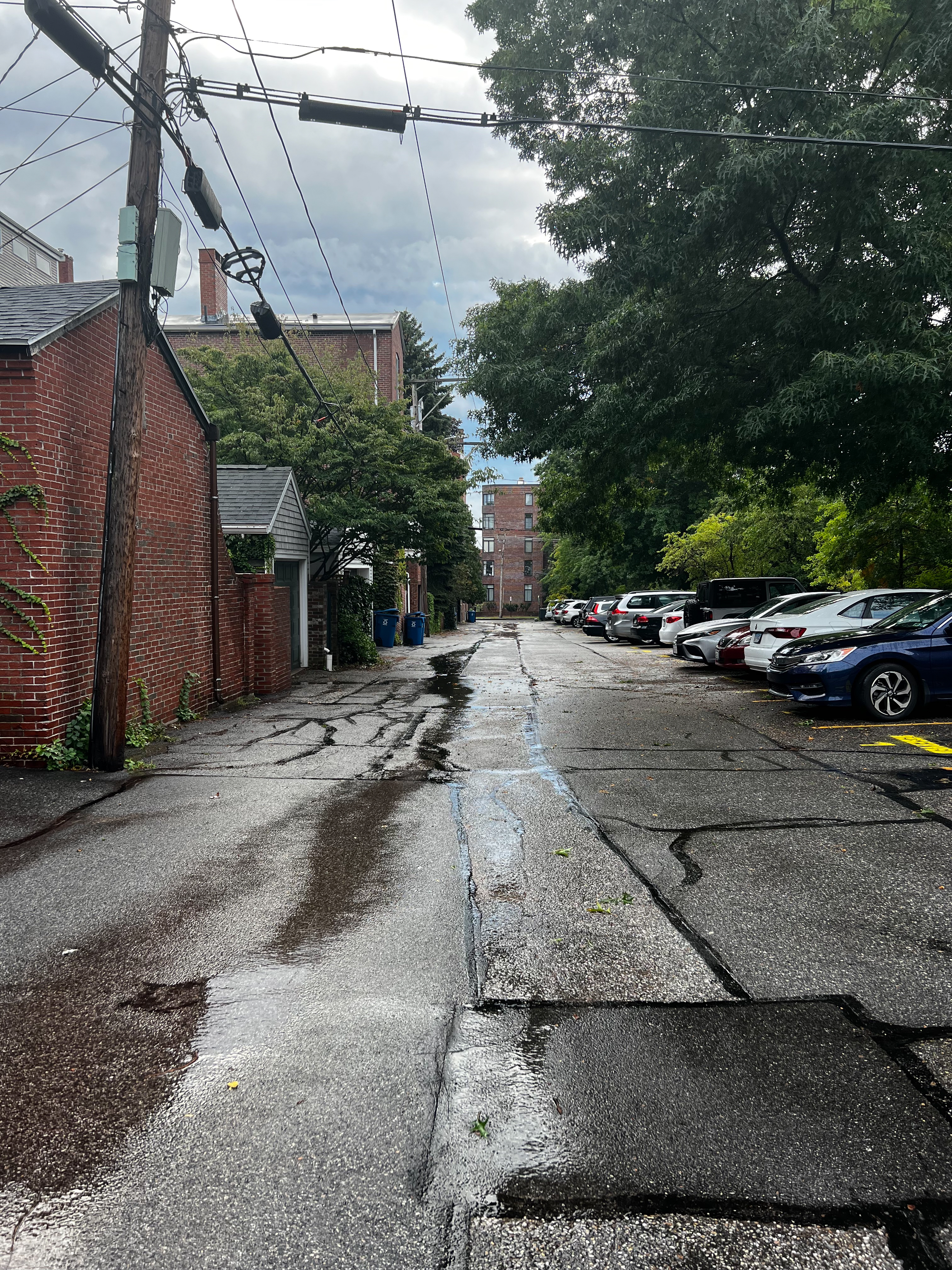 rainy narrow street with brick buildings on the left and trees on the right