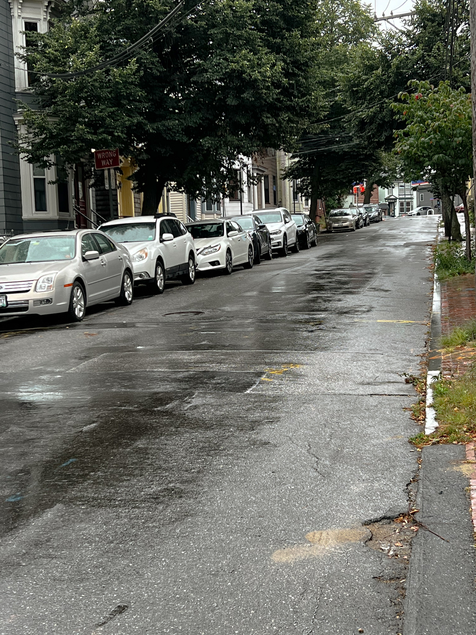 rainy street with cars parked along one side