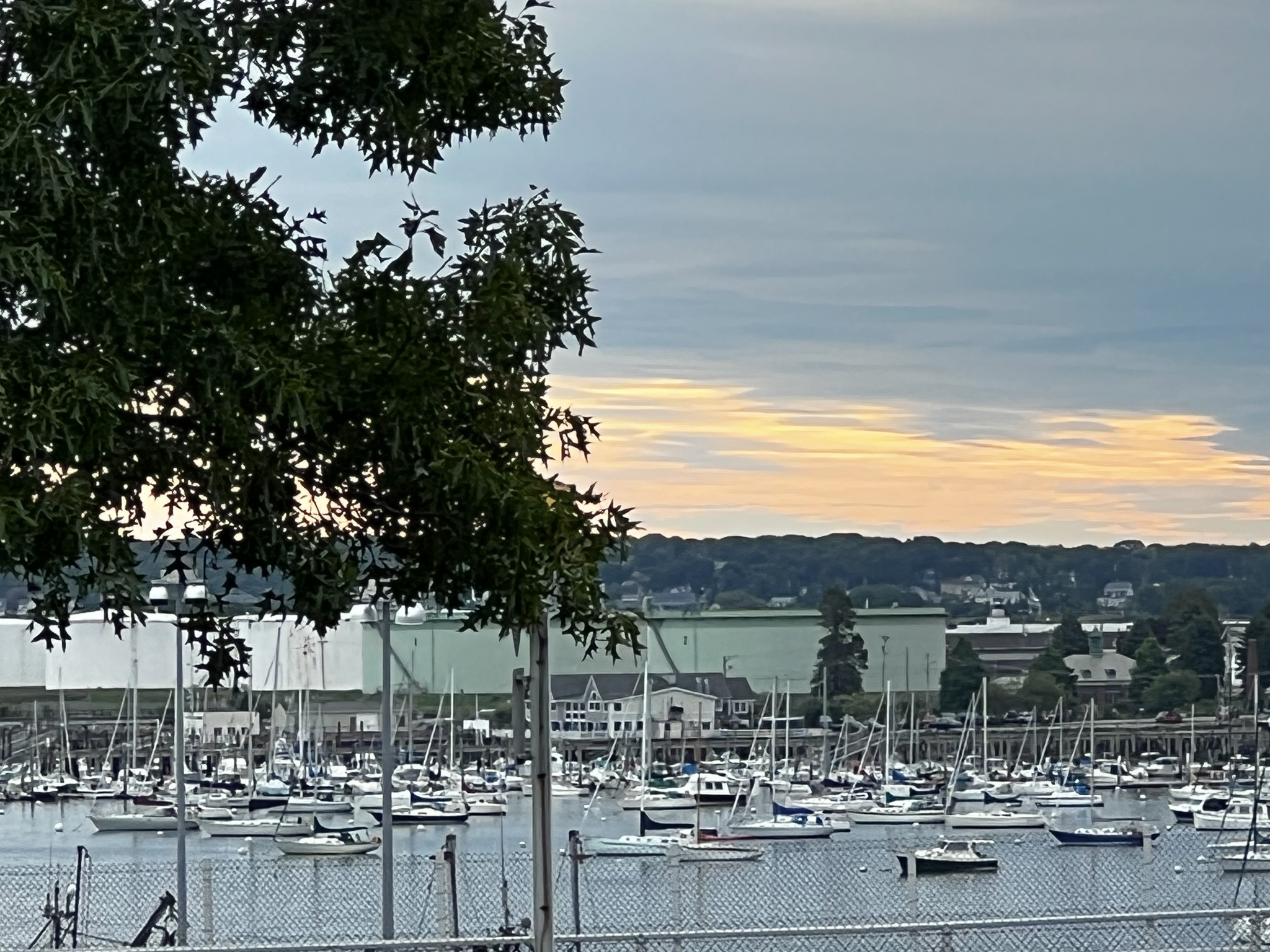 sailboats are all in the harbor and the sea is dull