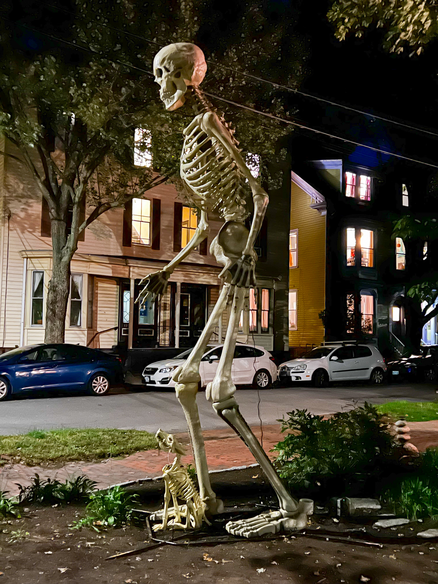 10 foot skeleton with dog skeleton