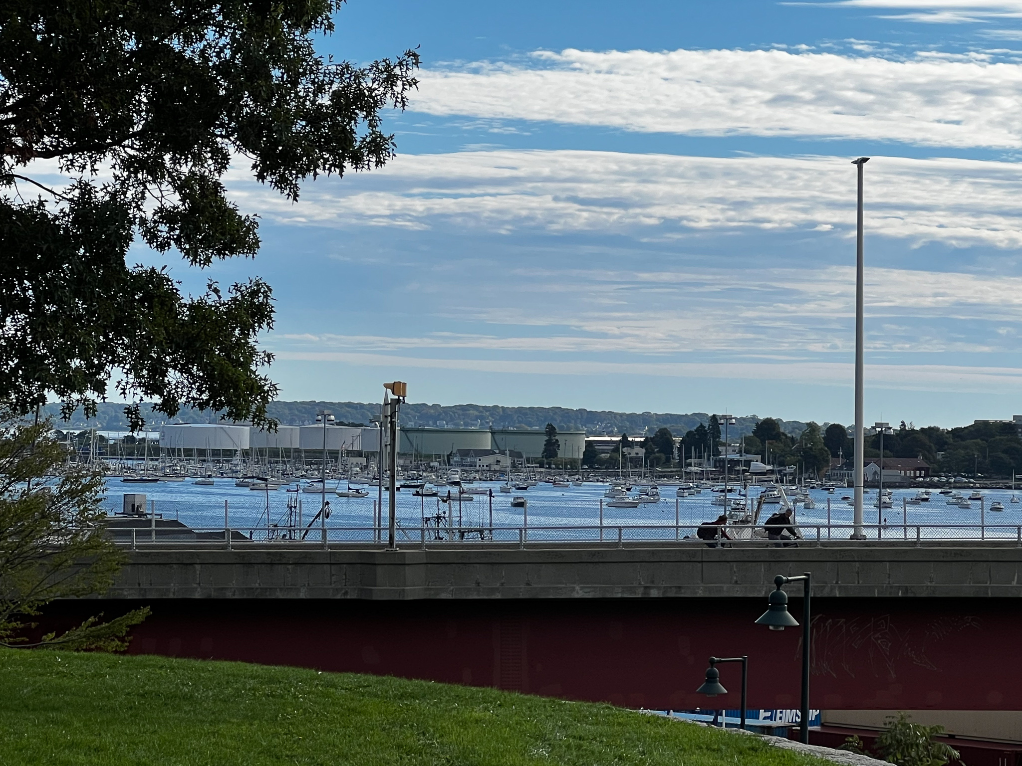 Harbor View Park looking at boats with few clouds in the sky
