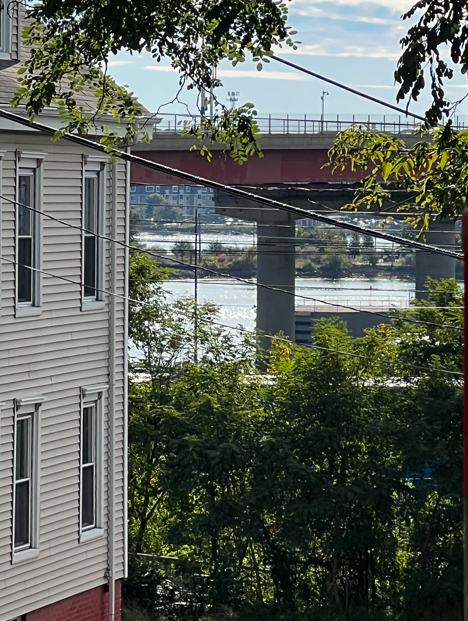 water on the Fore River glitters under a bridge