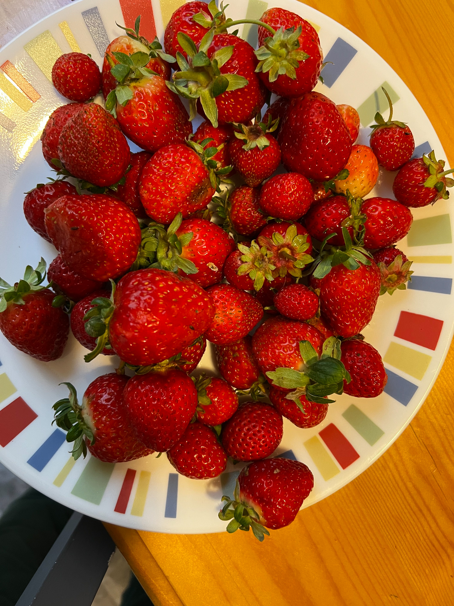 strawberries in Sept in Portland