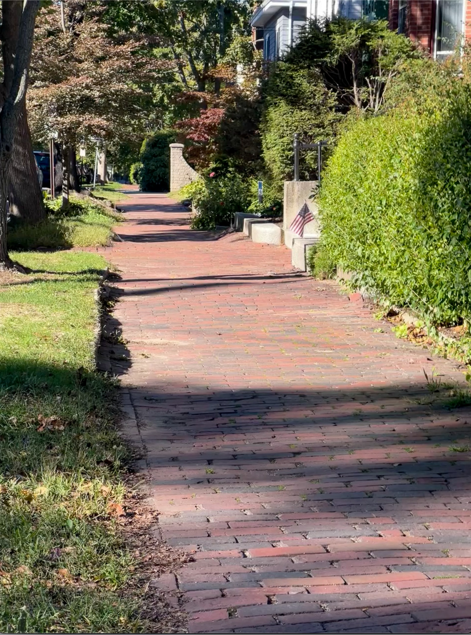 brick sidewalk and nice plants