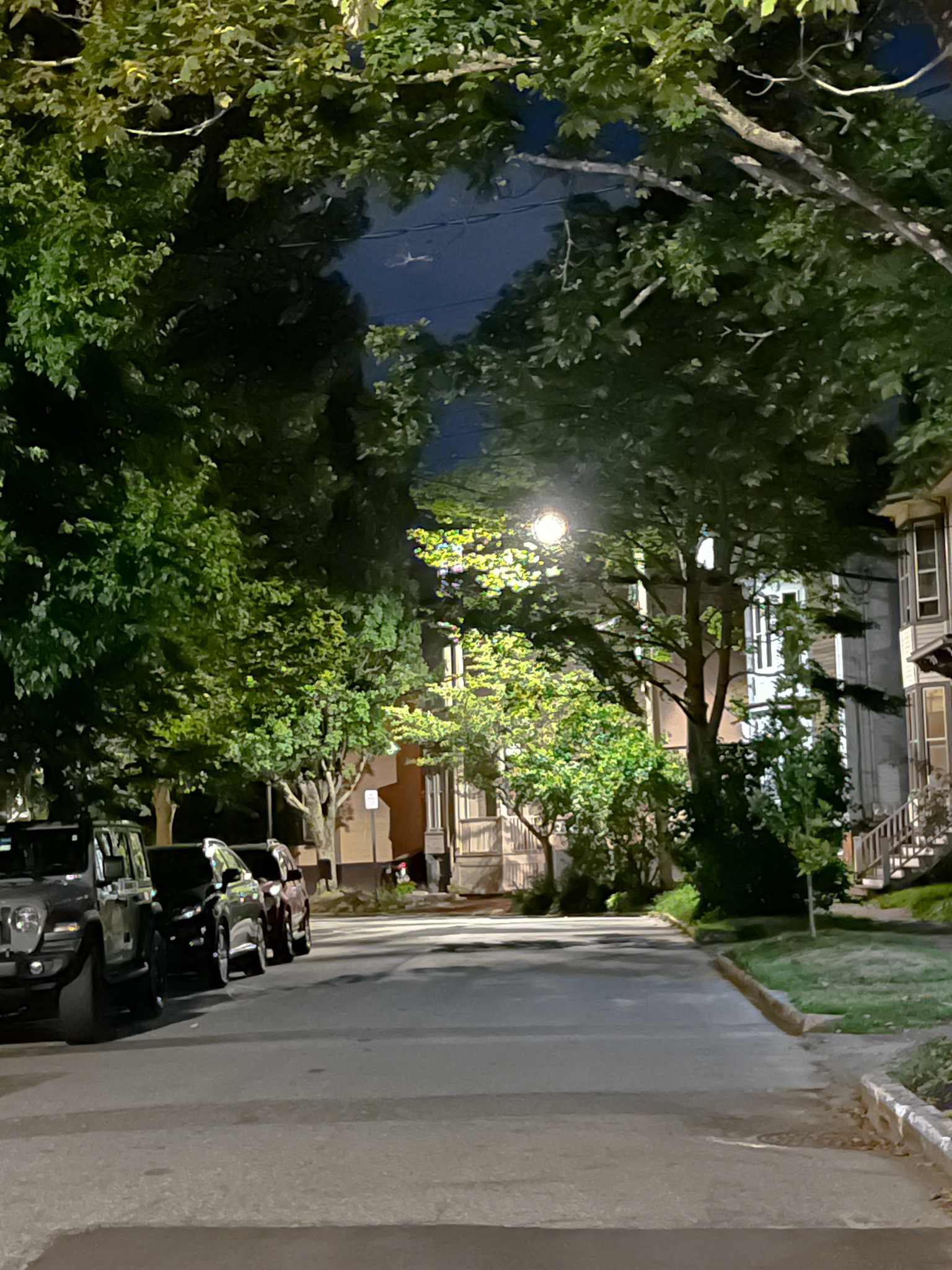 sweet streets at night of trees hanging over narrow streets