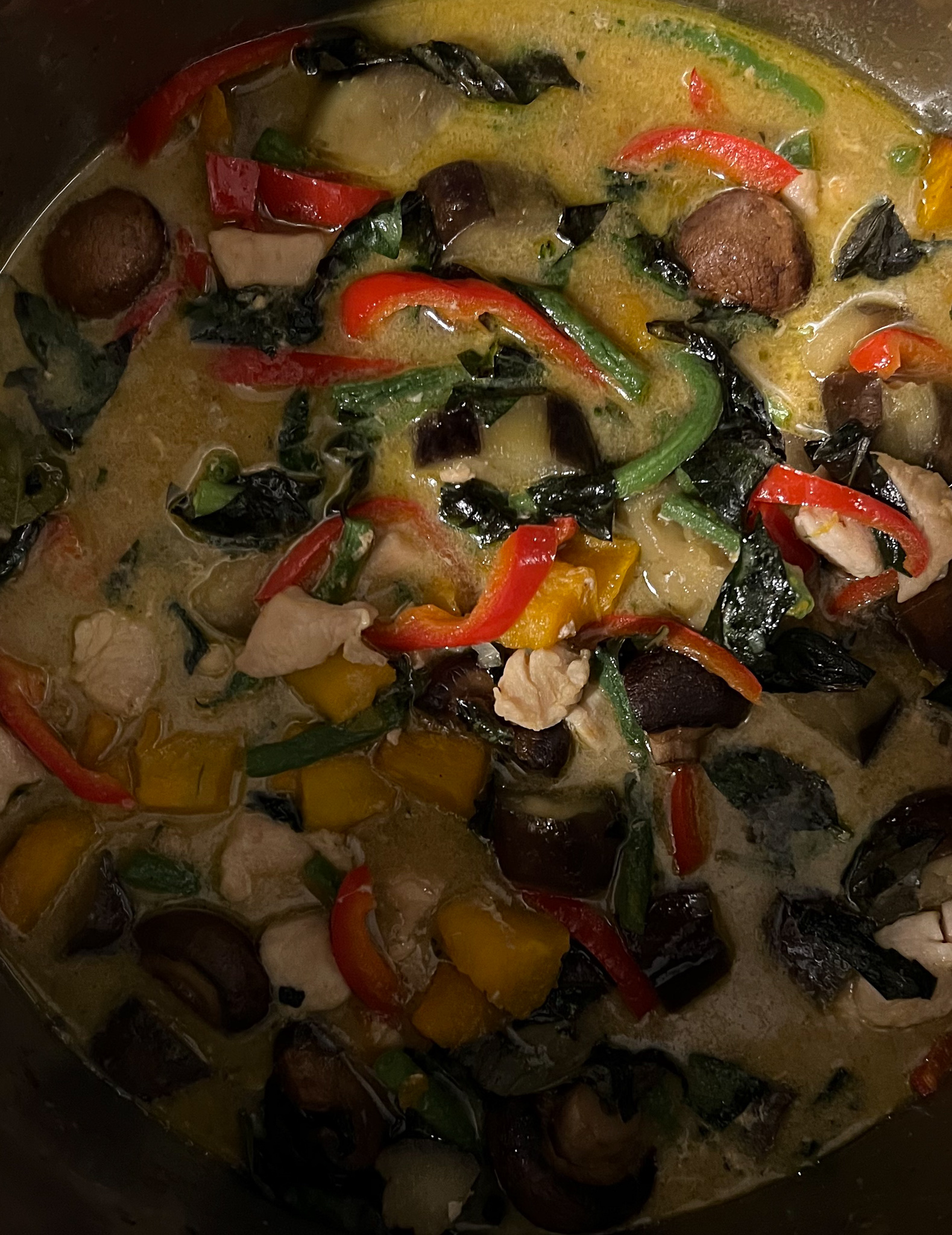 Thai Green Curry in a pan