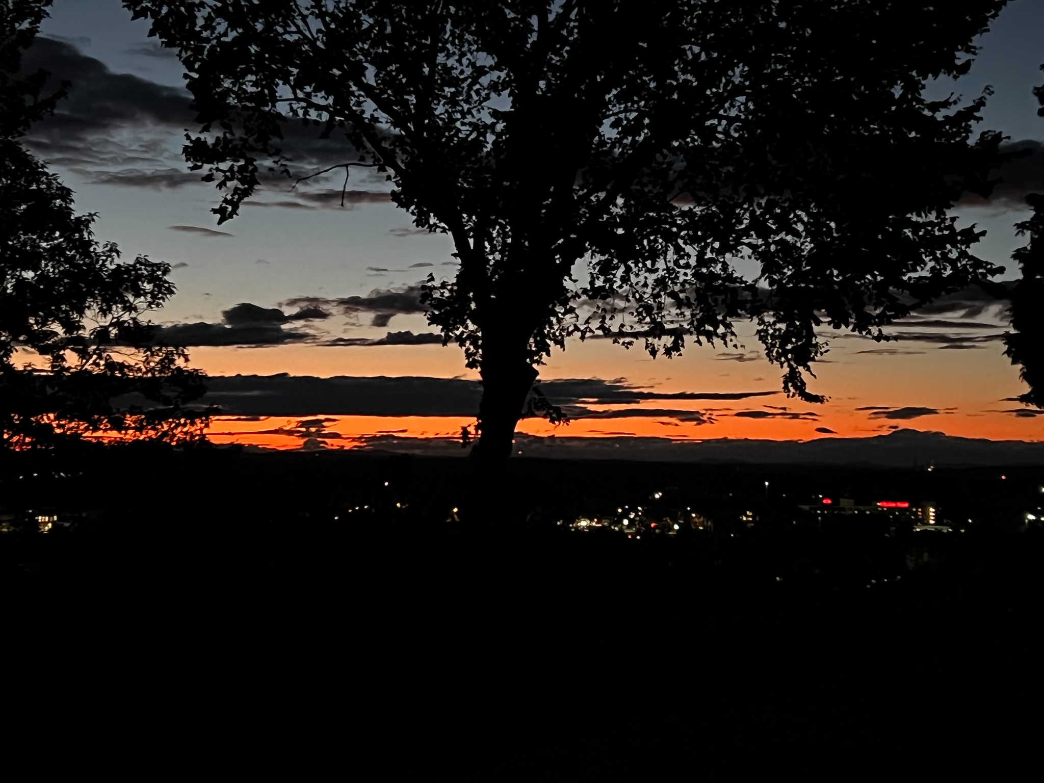 sunset with trees silouetted
