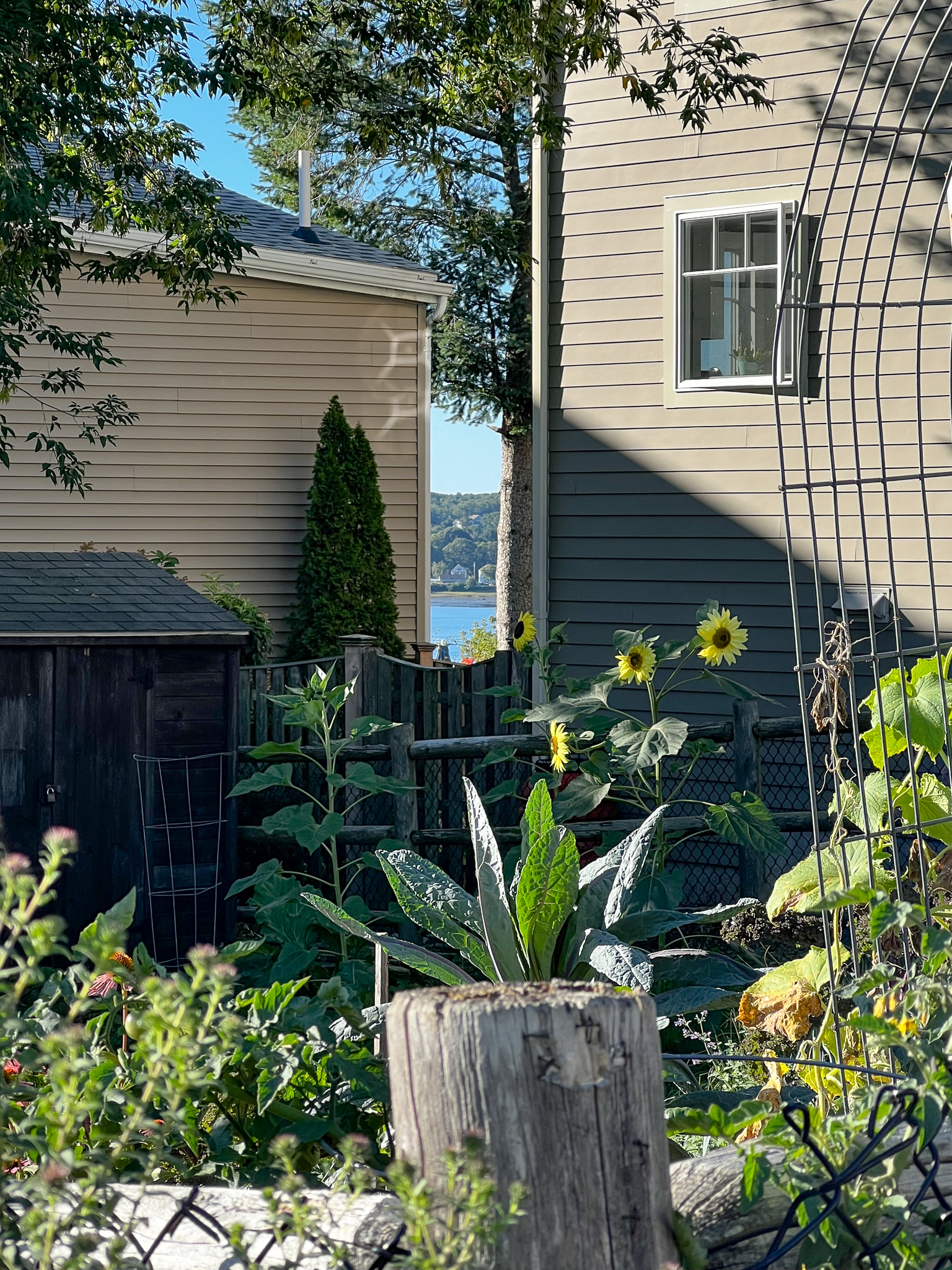 community garden with a view