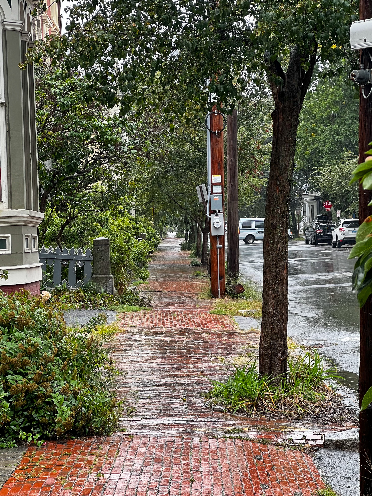 rainy view of a brick sidewalk