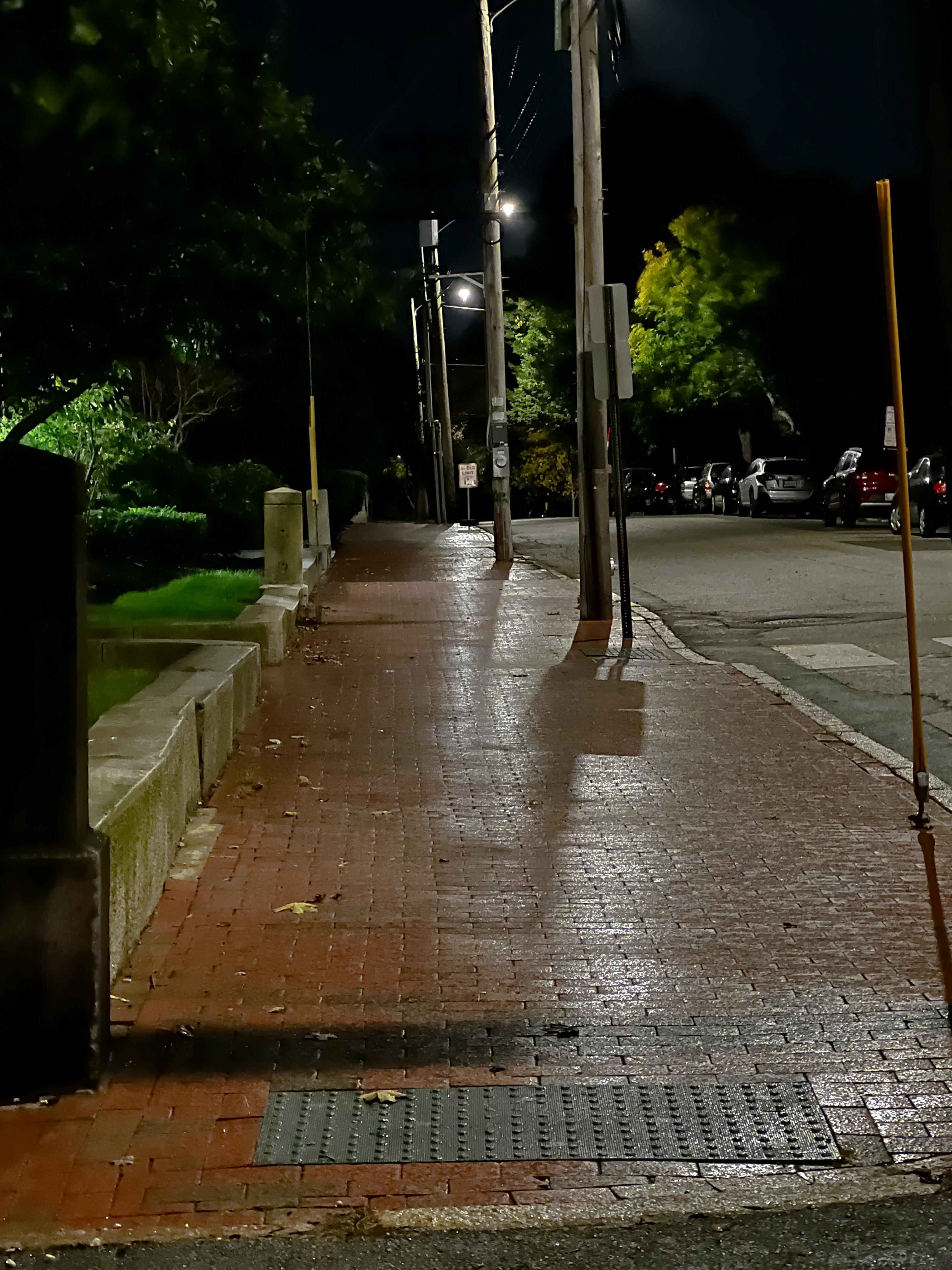 rainy brick sidewalk with gentle reflection from the drops