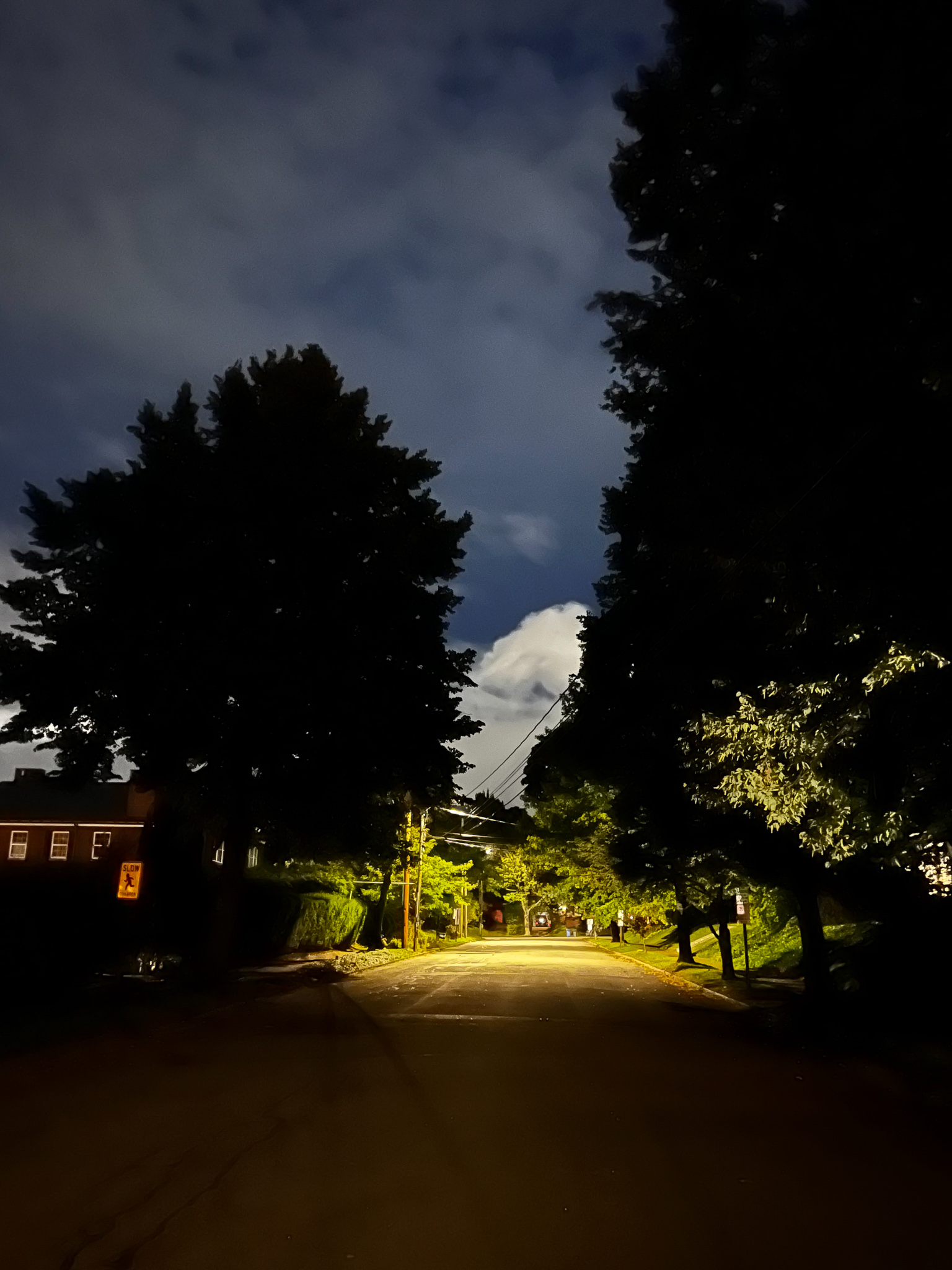 white white clouds with dark night sky and silhouetted trees
