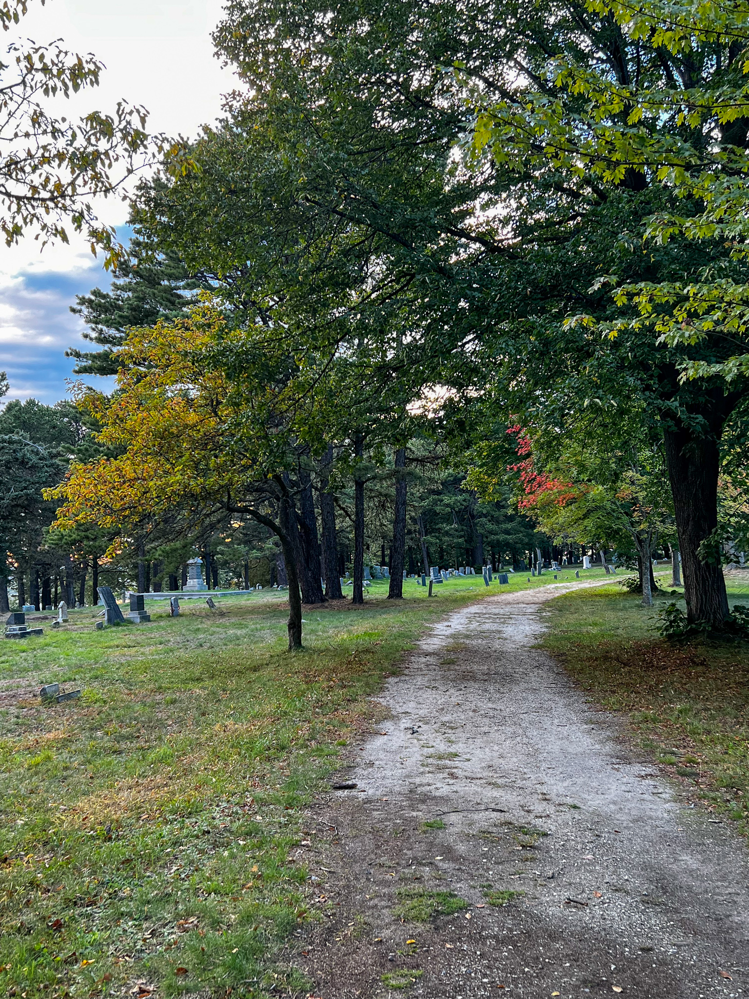 graveyard tree show