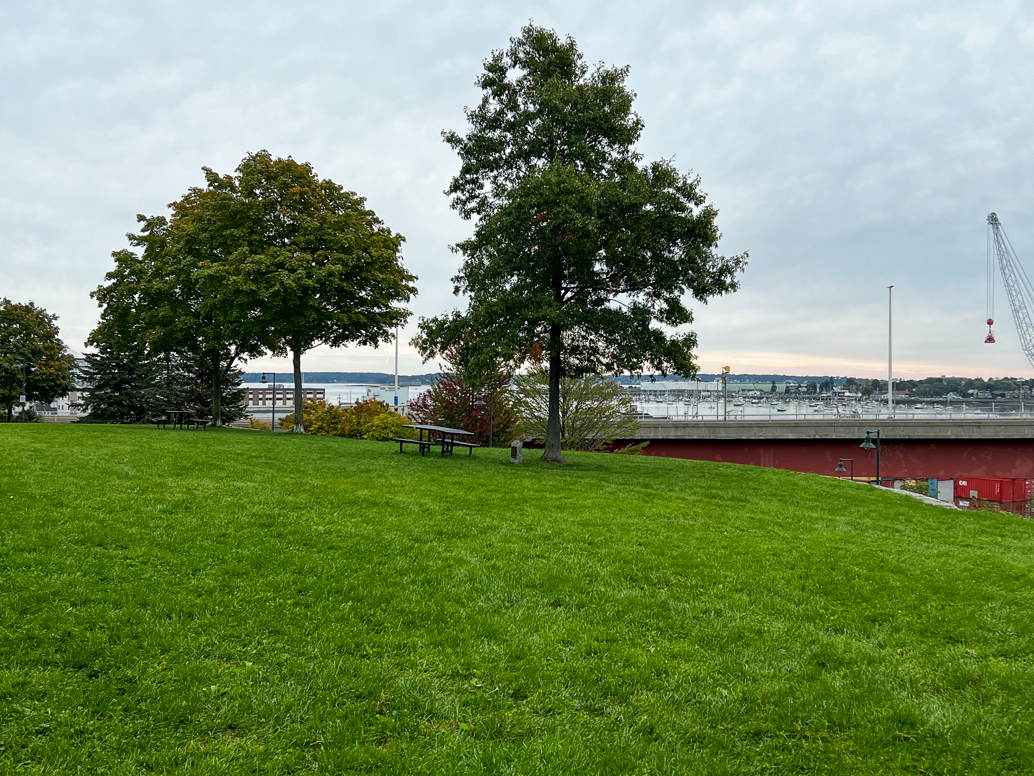 gray cloudy day over a park