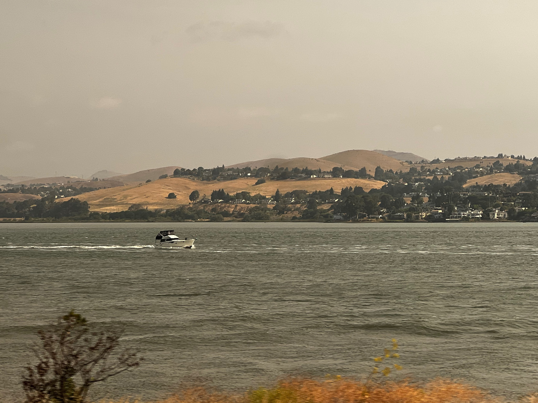SF Bay with golden hills behind
