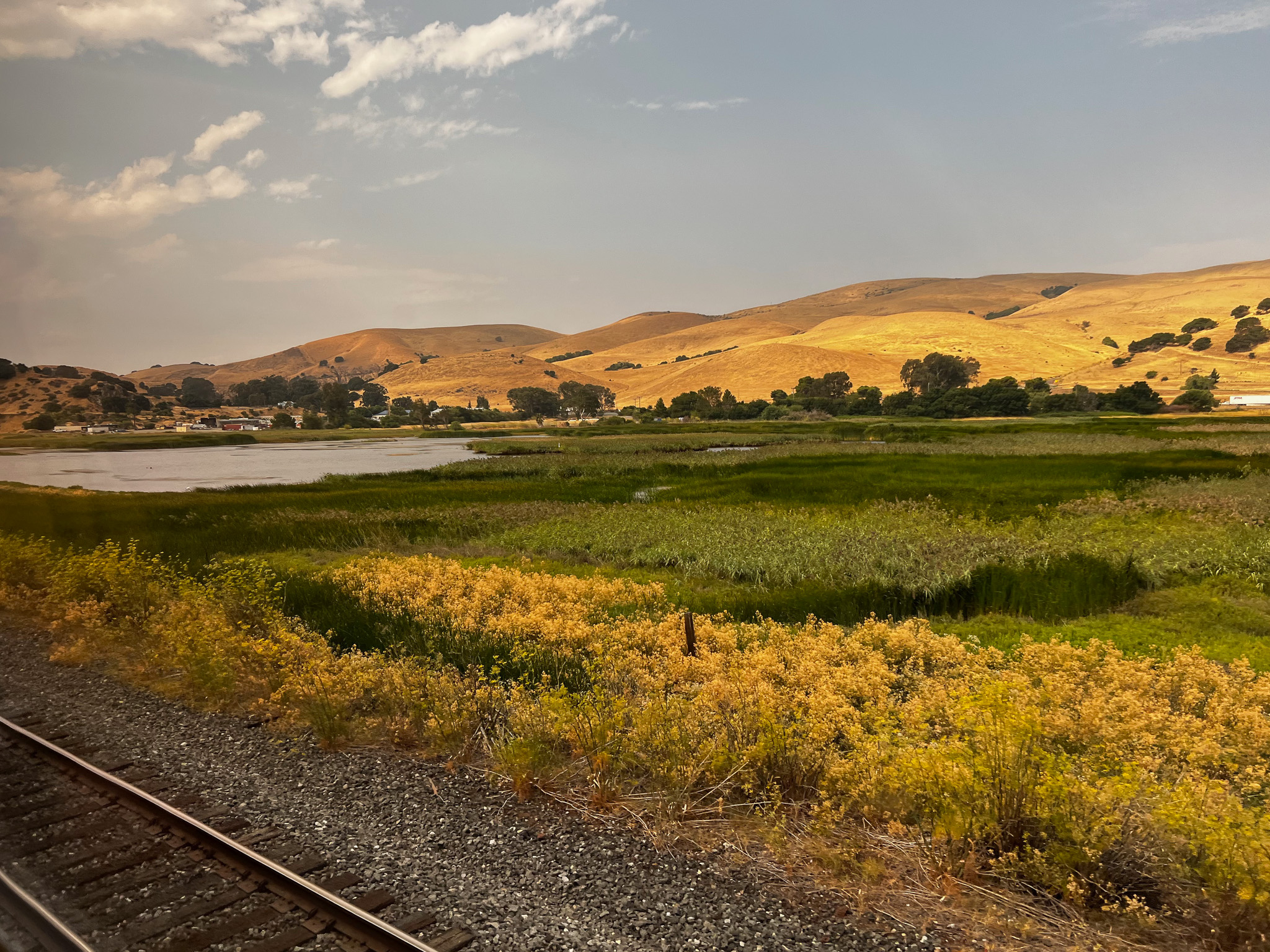 railway pic with swamp water and golden hills